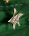 Star Light - Star Bright