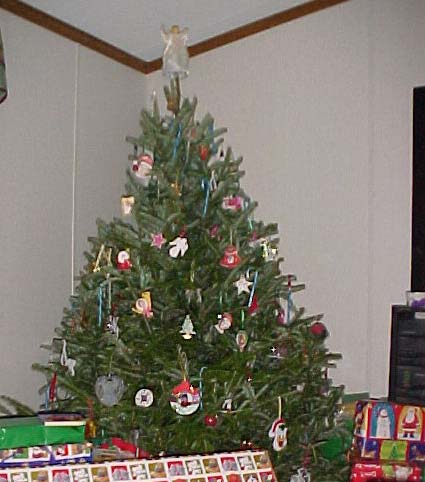 Tim always picks the nicest tree