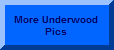 So many pictures - so little web space